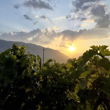 The Barrels Ms Hotel 4*