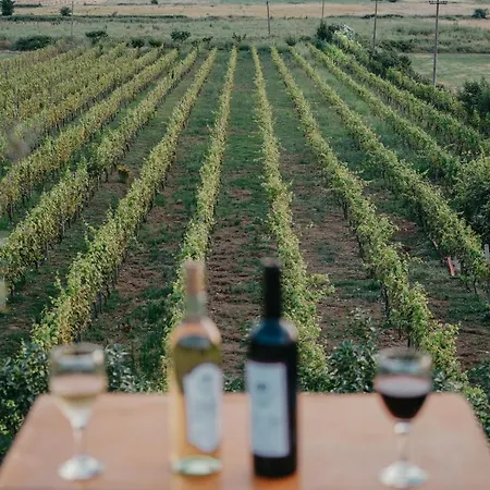 Hotel The Barrels Ms Nokove