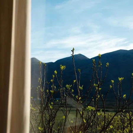 The Barrels Ms Hotel