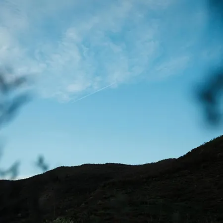 Hotel The Barrels Ms 4*