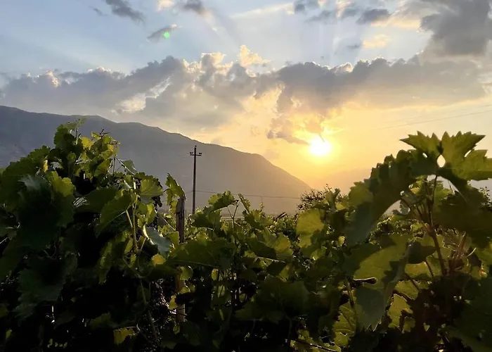 The Barrels Ms 酒店 4*