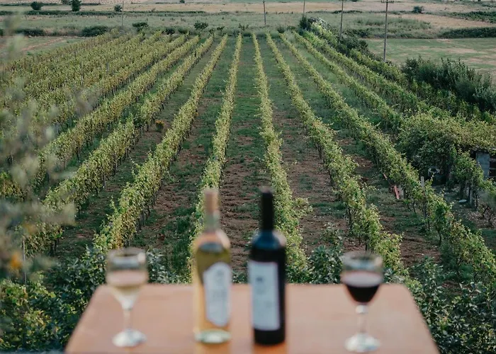 酒店 The Barrels Ms Nokove