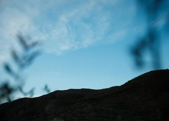 Hotel The Barrels Ms 4*